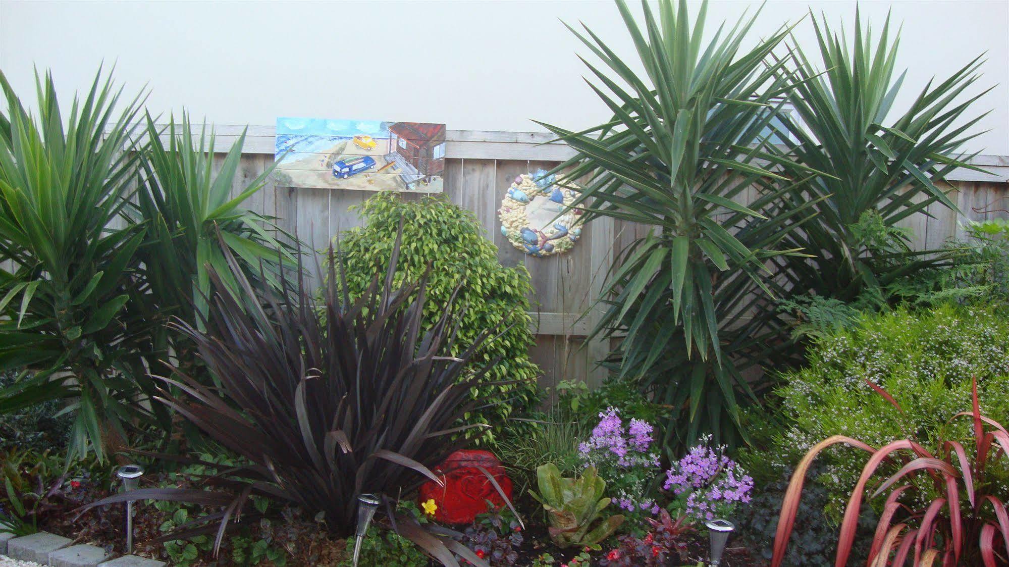 Stunning Views Bed, Breakfast & Health Retreat Whangamata Exterior foto